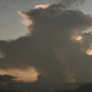 Meet your Posher, Tenzin